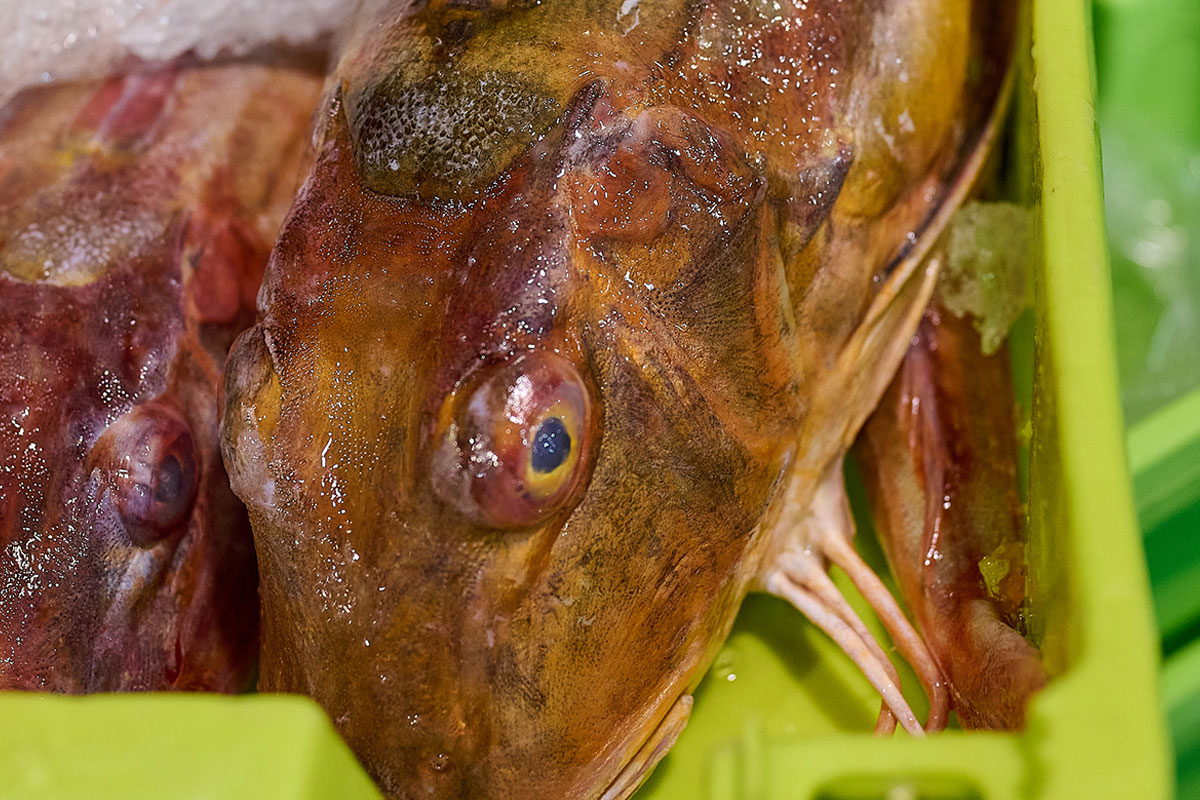 Detalle del producto